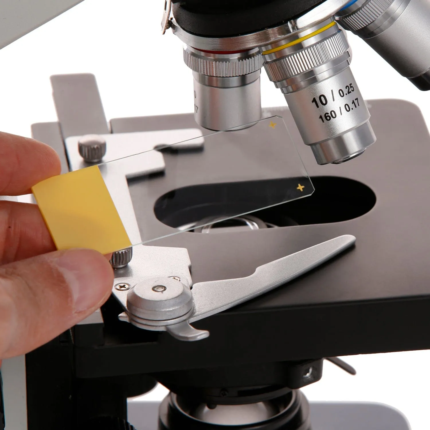AmScope 50pc Blank Silane Slides with Single Frosted, Yellow-Coated Side